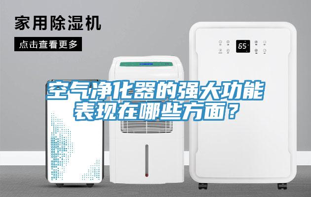 空氣淨化器的強大功能表現在哪些方麵？