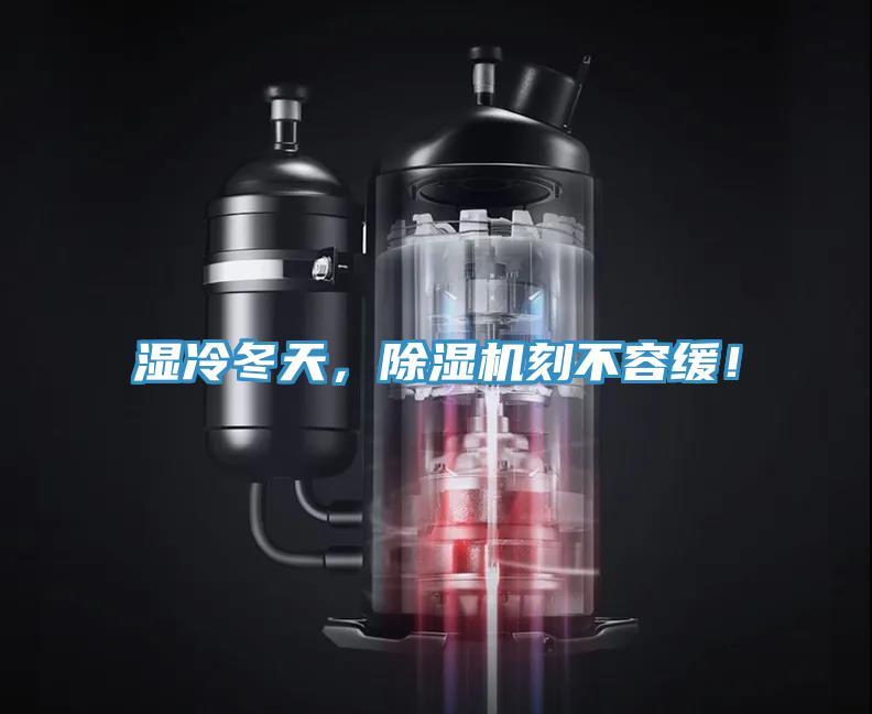 濕冷冬天，蘑菇视频网站刻不容緩！