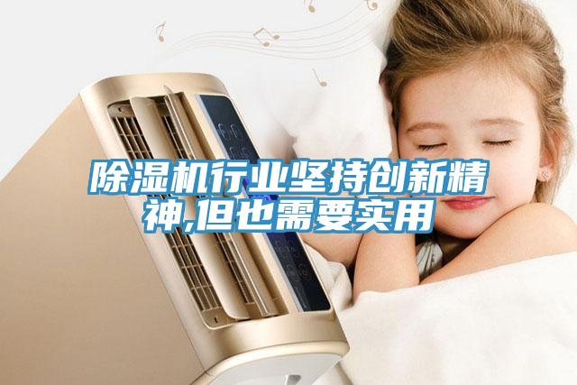 蘑菇视频网站行業堅持創新精神,但也需要實用