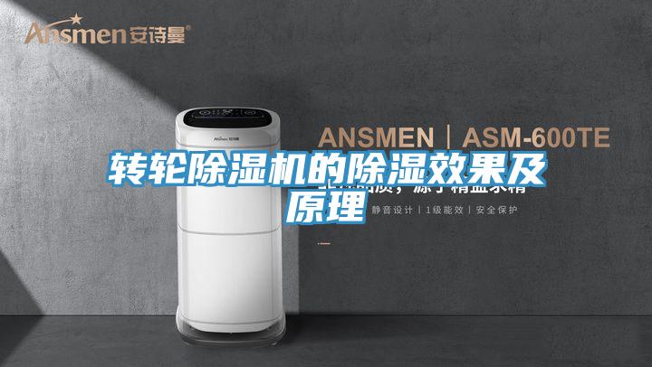 轉輪蘑菇视频网站的除濕效果及原理