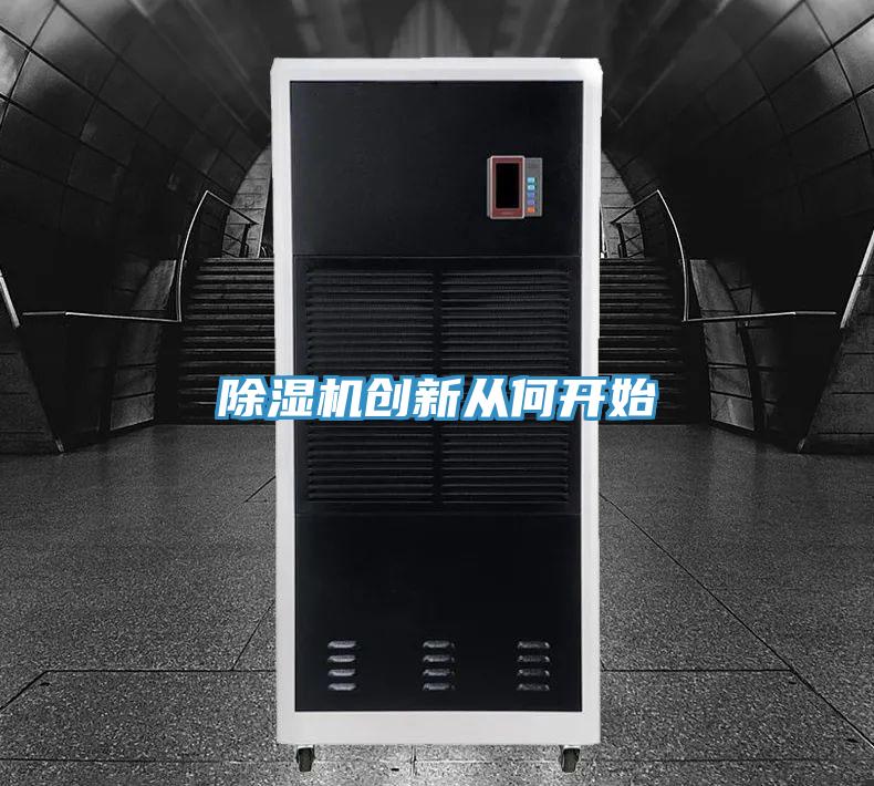 蘑菇视频网站創新從何開始