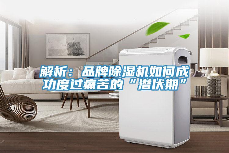解析：品牌蘑菇视频网站如何成功度過痛苦的“潛伏期”