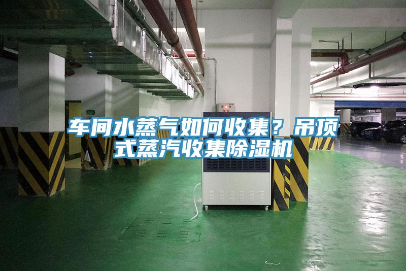 車間水蒸氣如何收集？吊頂式蒸汽收集蘑菇视频网站