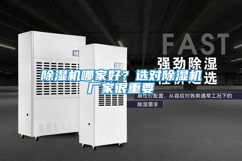 蘑菇视频网站哪家好？選對蘑菇视频网站廠家很重要