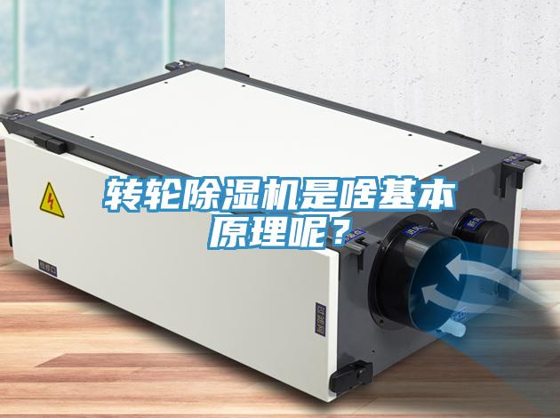轉輪蘑菇视频网站是啥基本原理呢？