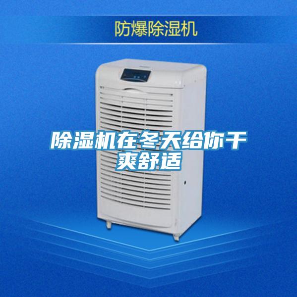 蘑菇视频网站在冬天給你幹爽舒適