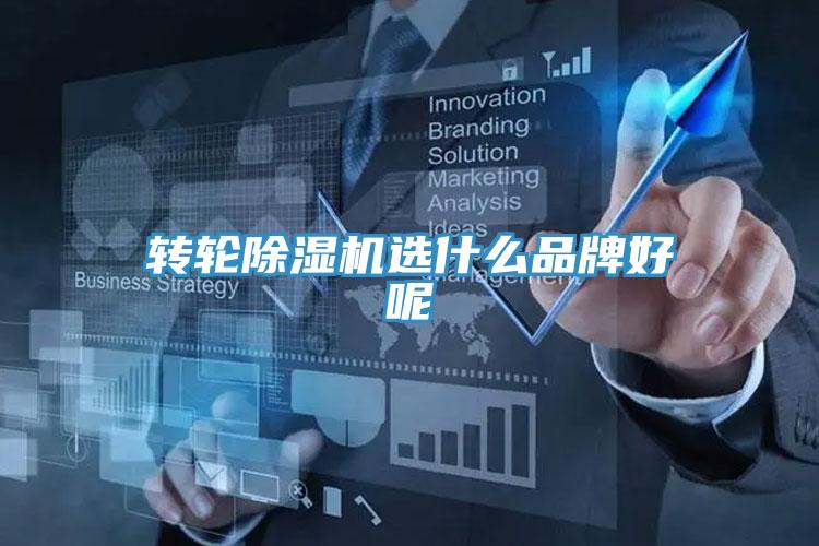 轉輪蘑菇视频网站選什麽品牌好呢