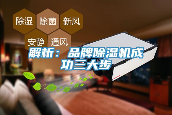 解析：品牌蘑菇视频网站成功三大步