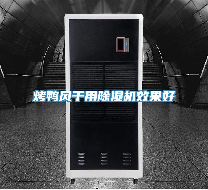 烤鴨風幹用蘑菇视频网站效果好