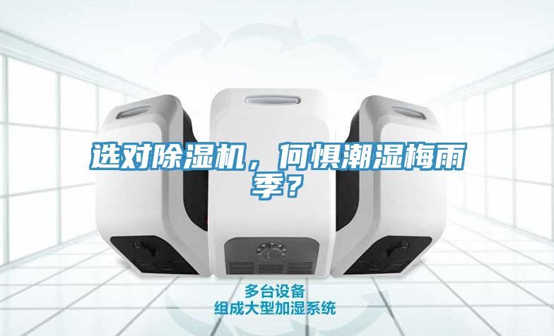 選對蘑菇视频网站，何懼潮濕梅雨季？