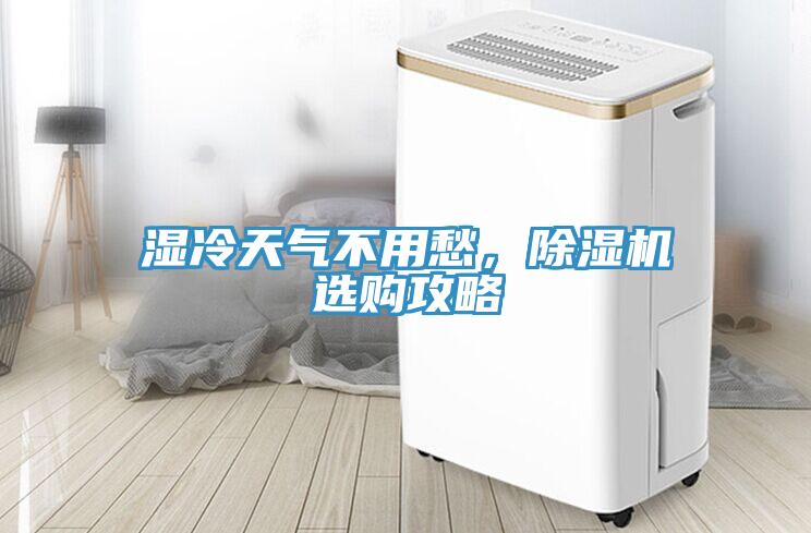 濕冷天氣不用愁，蘑菇视频网站選購攻略