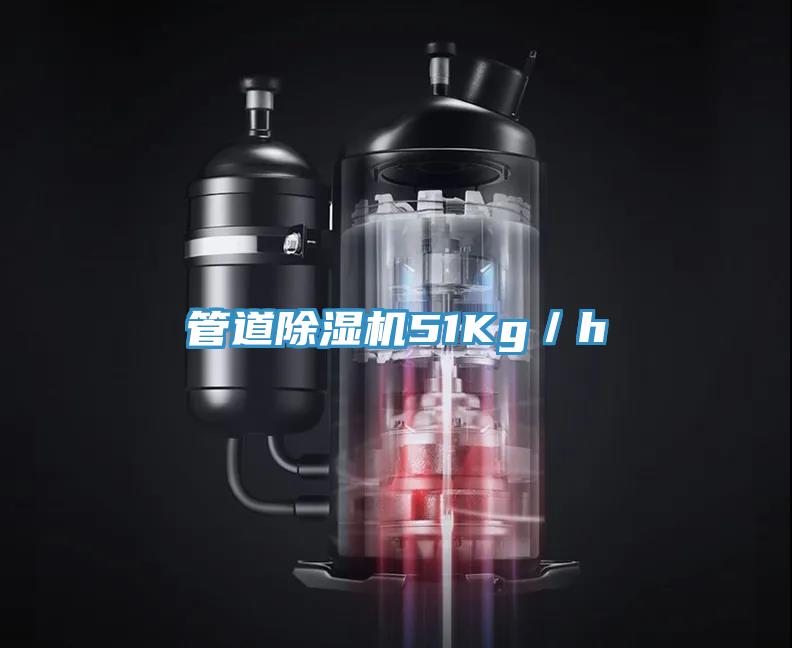 管道蘑菇视频网站51Kg／h