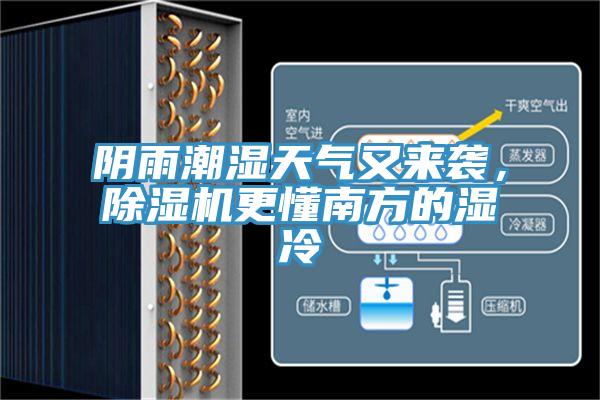 陰雨潮濕天氣又來襲，蘑菇视频网站更懂南方的濕冷