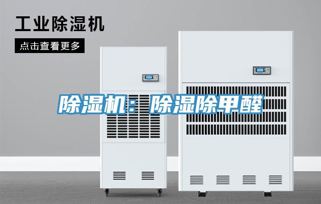蘑菇视频网站：除濕除甲醛