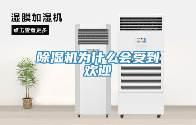 蘑菇视频网站為什麽會受到歡迎