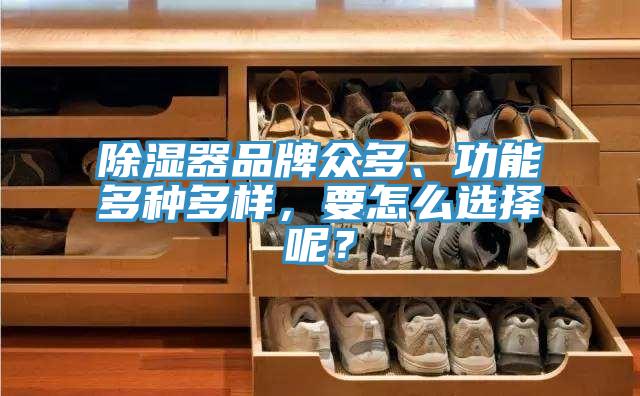 除濕器品牌眾多、功能多種多樣，要怎麽選擇呢？
