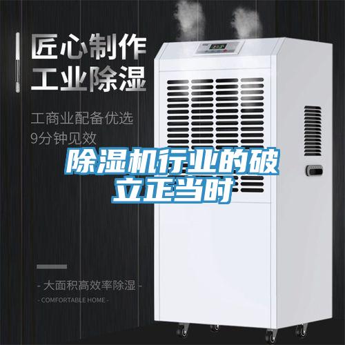蘑菇视频网站行業的破立正當時