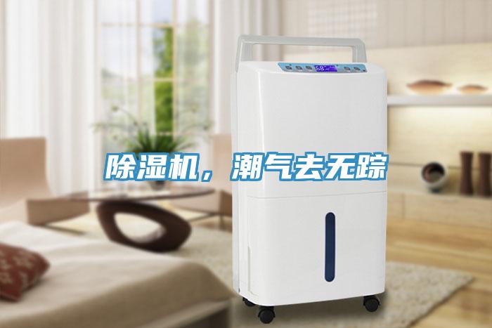 蘑菇视频网站，潮氣去無蹤