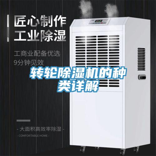 轉輪蘑菇视频网站的種類詳解