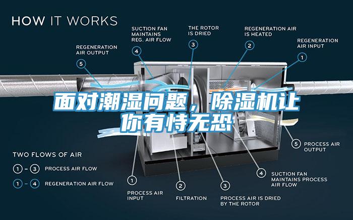 麵對潮濕問題，蘑菇视频网站讓你有恃無恐