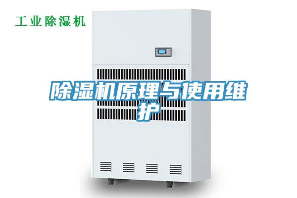 蘑菇视频网站原理與使用維護
