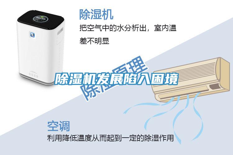 蘑菇视频网站發展陷入困境