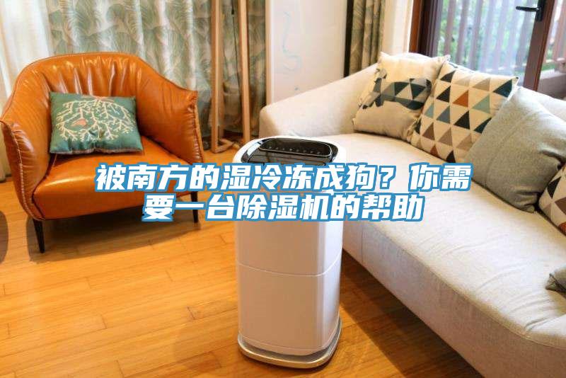 被南方的濕冷凍成狗？你需要一台蘑菇视频网站的幫助