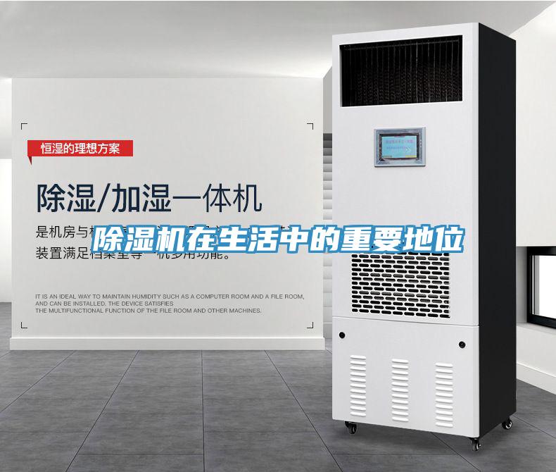 蘑菇视频网站在生活中的重要地位