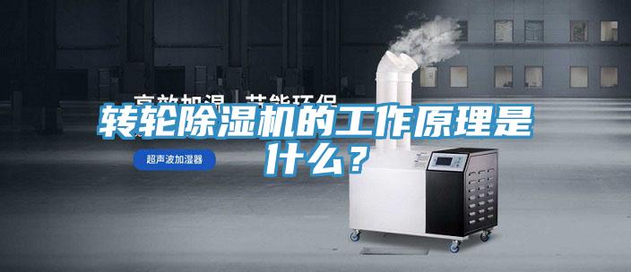 轉輪蘑菇视频网站的工作原理是什麽？