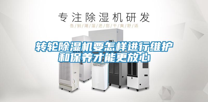 轉輪蘑菇视频网站要怎樣進行維護和保養才能更放心