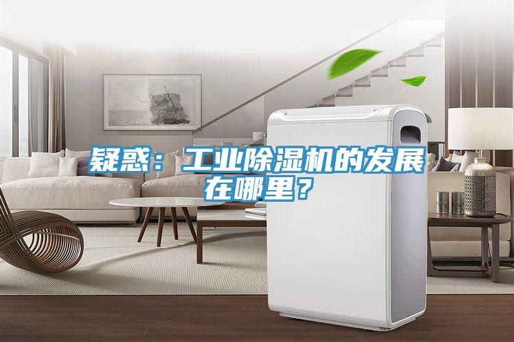 疑惑：工業蘑菇视频网站的發展在哪裏？