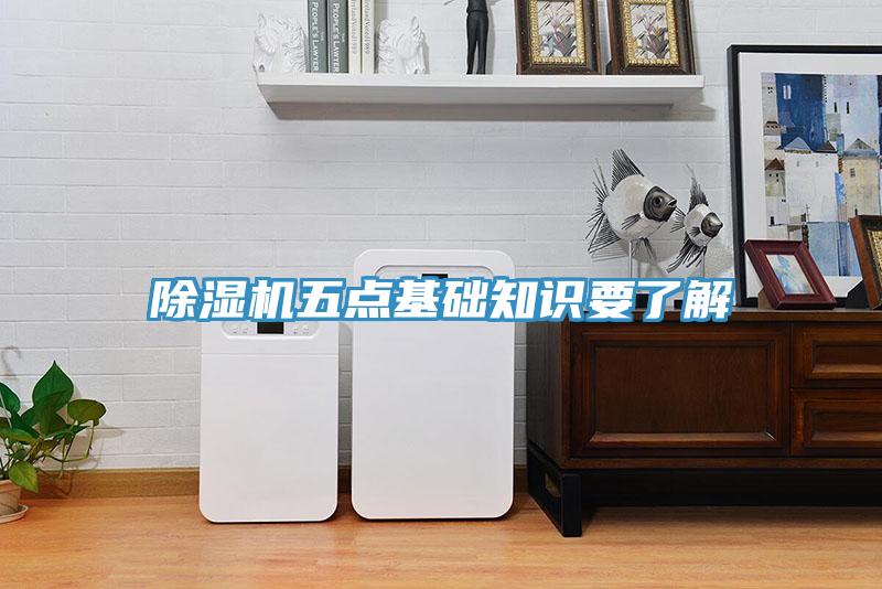 蘑菇视频网站五點基礎知識要了解