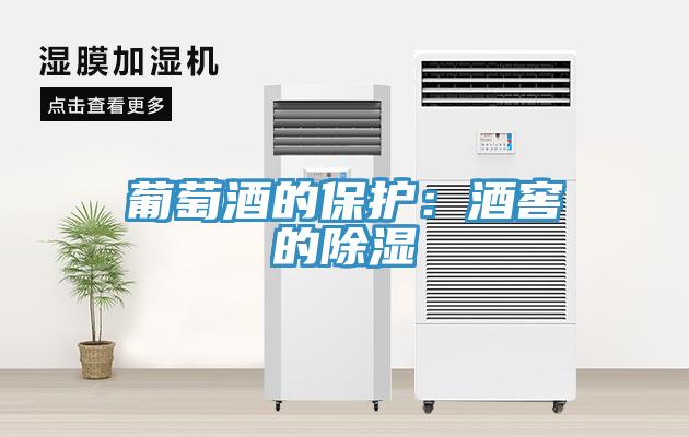葡萄酒的保護：酒窖的除濕