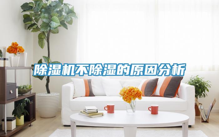 蘑菇视频网站不除濕的原因分析