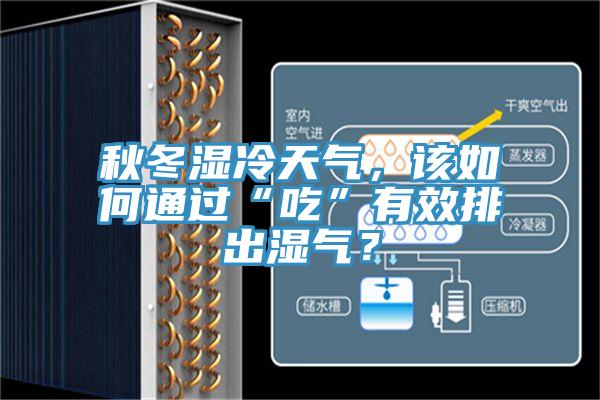 秋冬濕冷天氣，該如何通過“吃”有效排出濕氣？