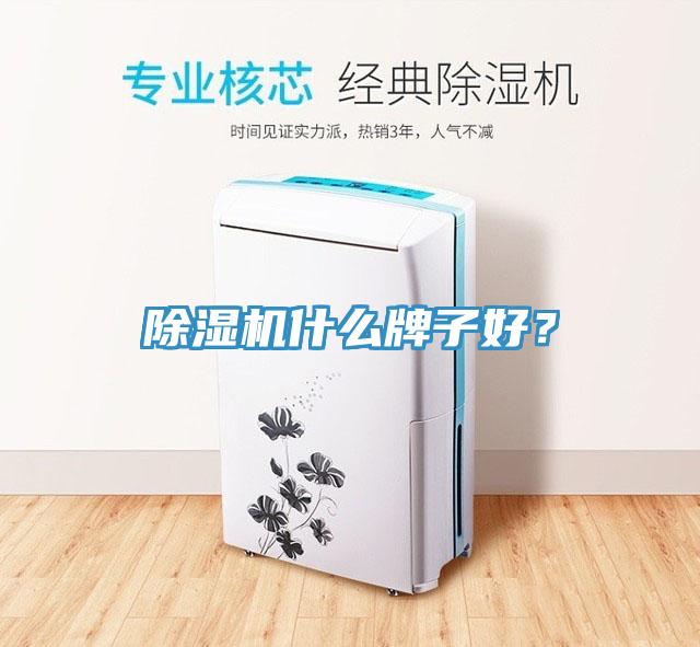 蘑菇视频网站什麽牌子好？