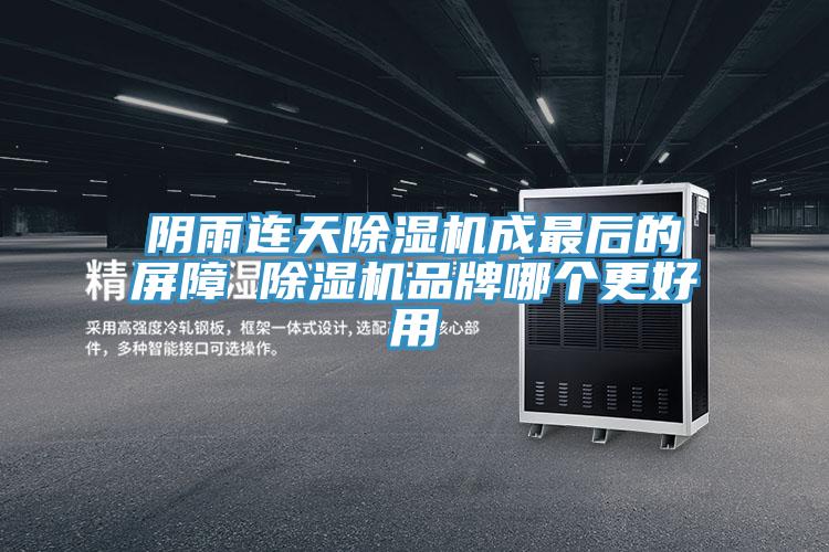 陰雨連天蘑菇视频网站成最後的屏障 蘑菇视频网站品牌哪個更好用