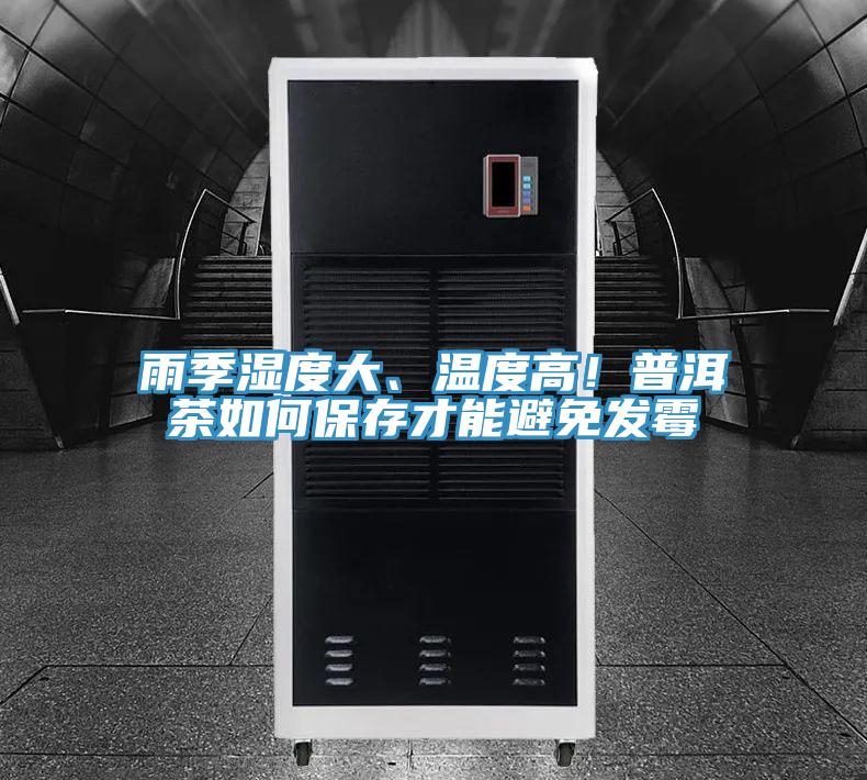 雨季濕度大、溫度高！普洱茶如何保存才能避免發黴