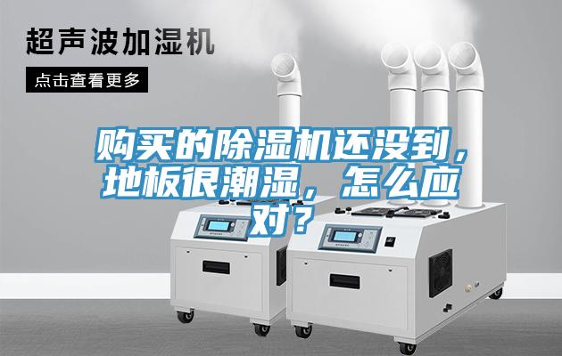 購買的蘑菇视频网站還沒到，地板很潮濕，怎麽應對？