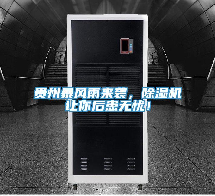 貴州暴風雨來襲，蘑菇视频网站讓你後患無憂！