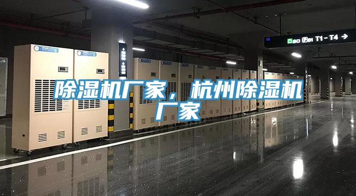 蘑菇视频网站廠家，杭州蘑菇视频网站廠家