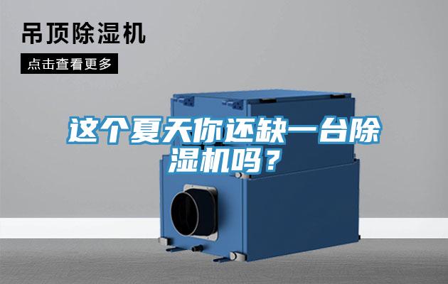 這個夏天你還缺一台蘑菇视频网站嗎？