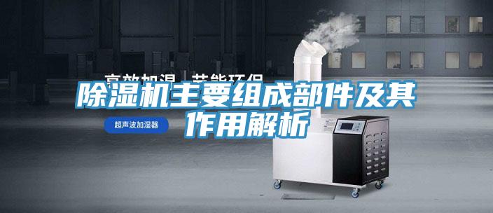 蘑菇视频网站主要組成部件及其作用解析