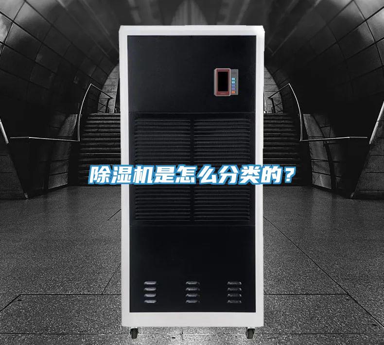 蘑菇视频网站是怎麽分類的？