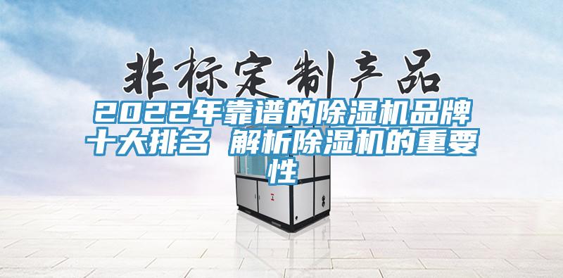 2022年靠譜的蘑菇视频网站品牌十大排名 解析蘑菇视频网站的重要性