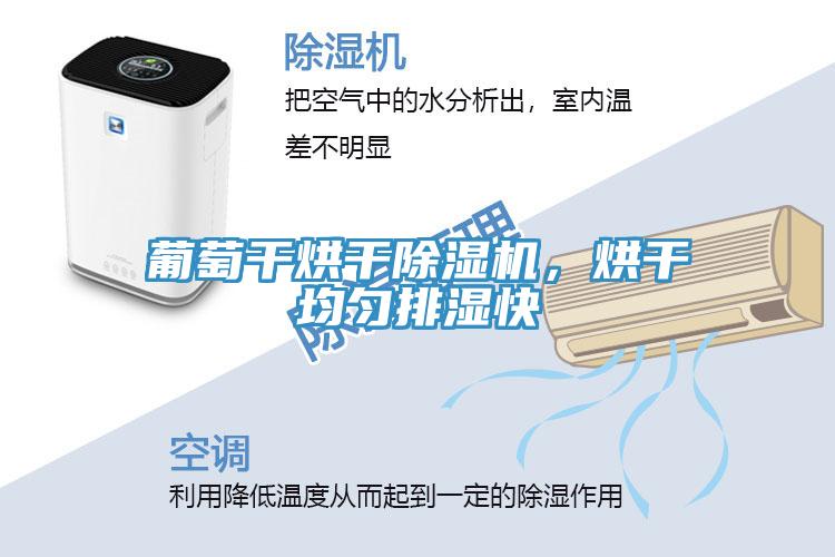 葡萄幹烘幹蘑菇视频网站，烘幹均勻排濕快