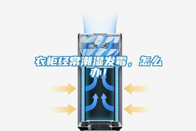 衣櫃經常潮濕發黴，怎麽辦！