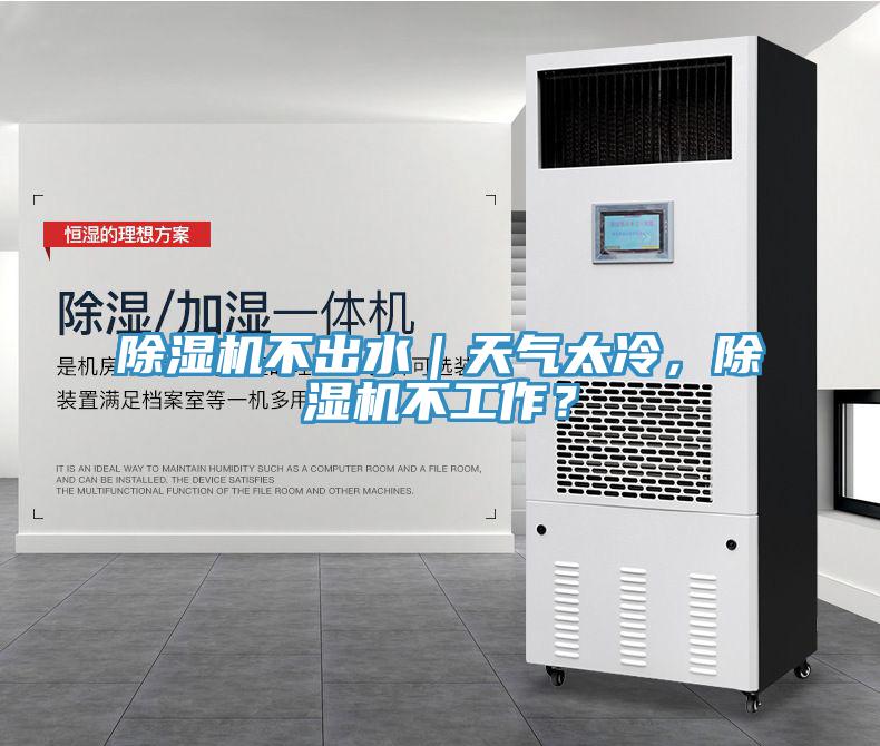 蘑菇视频网站不出水｜天氣太冷，蘑菇视频网站不工作？