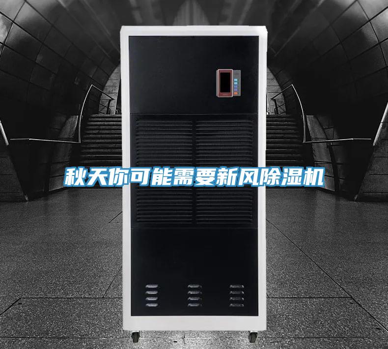 秋天你可能需要新風蘑菇视频网站