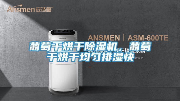 葡萄幹烘幹蘑菇视频网站，葡萄幹烘幹均勻排濕快